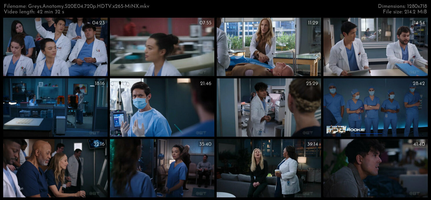 Greys Anatomy S20E04 720p HDTV x265 MiNX TGx