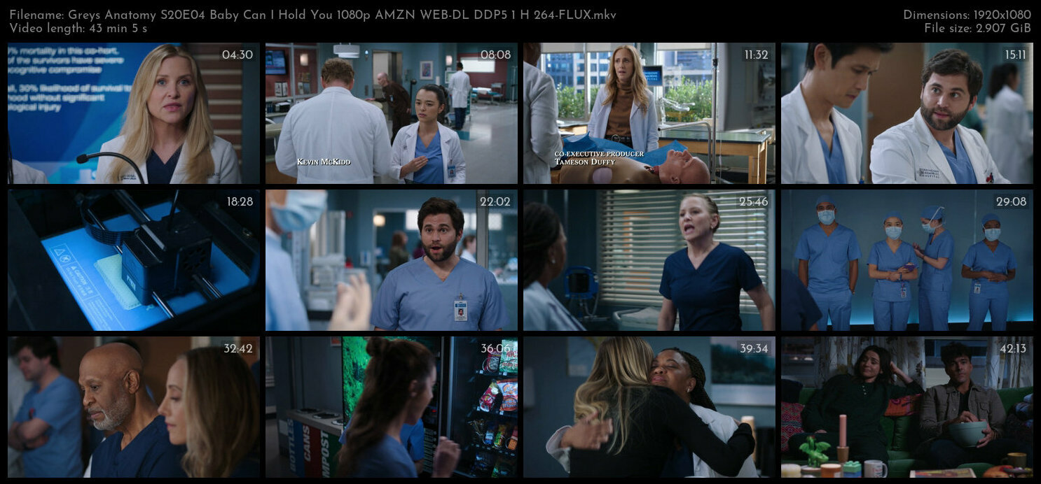 Greys Anatomy S20E04 Baby Can I Hold You 1080p AMZN WEB DL DDP5 1 H 264 FLUX TGx