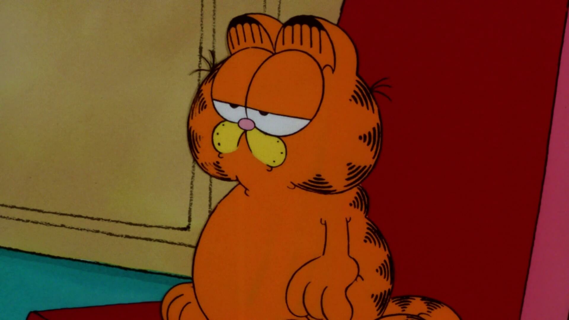 Garfield And Friends S02E13 The Curse of Klopman Mud Sweet Mud Rainy Day Dreams 1080p WEB DL AAC2 0