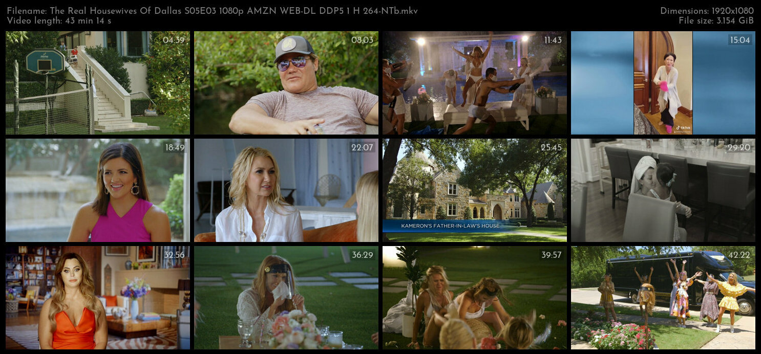 The Real Housewives Of Dallas S05E03 1080p AMZN WEB DL DDP5 1 H 264 NTb TGx