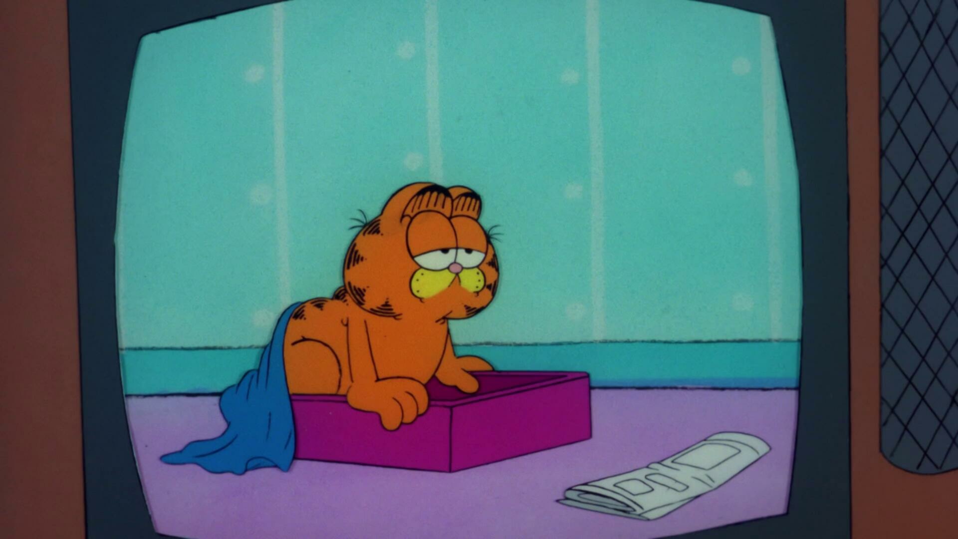 Garfield And Friends S02E22 First Class Feline Hamelot How to Be Funny 1080p WEB DL AAC2 0 x264 NTb