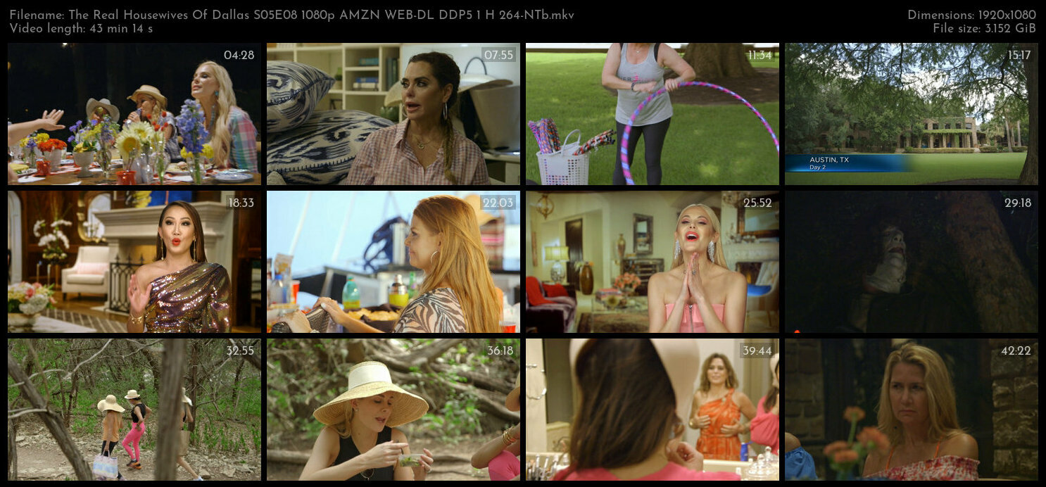 The Real Housewives Of Dallas S05E08 1080p AMZN WEB DL DDP5 1 H 264 NTb TGx