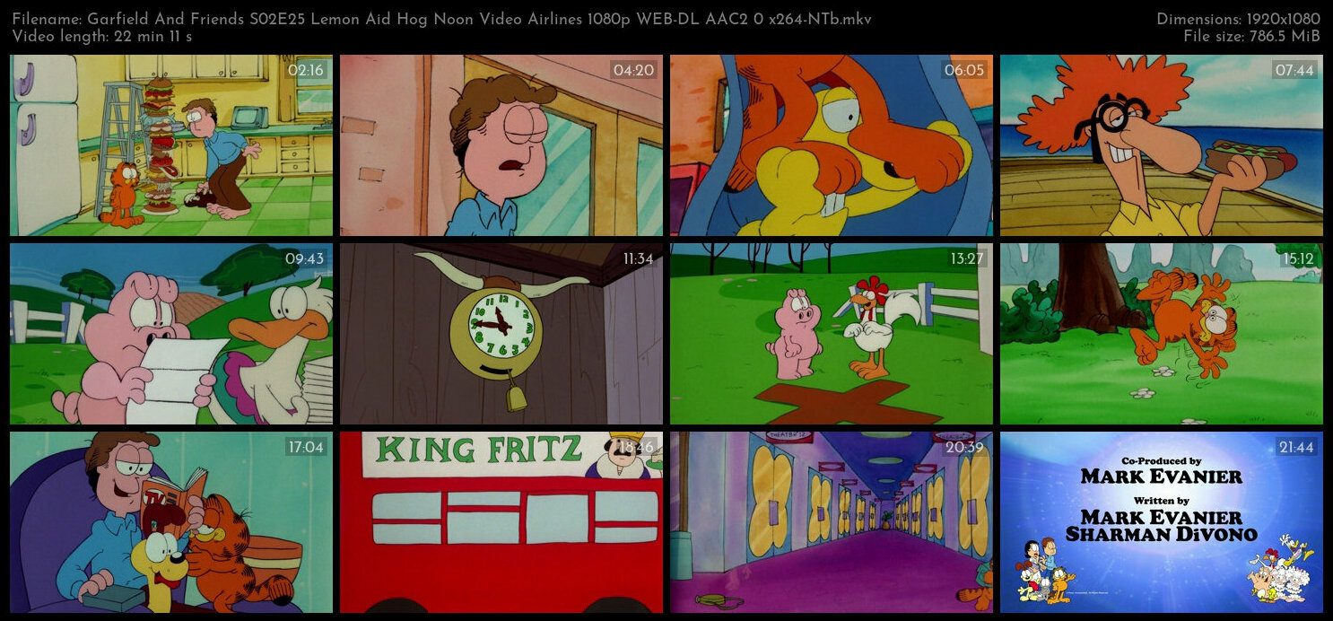 Garfield And Friends S02E25 Lemon Aid Hog Noon Video Airlines 1080p WEB DL AAC2 0 x264 NTb TGx