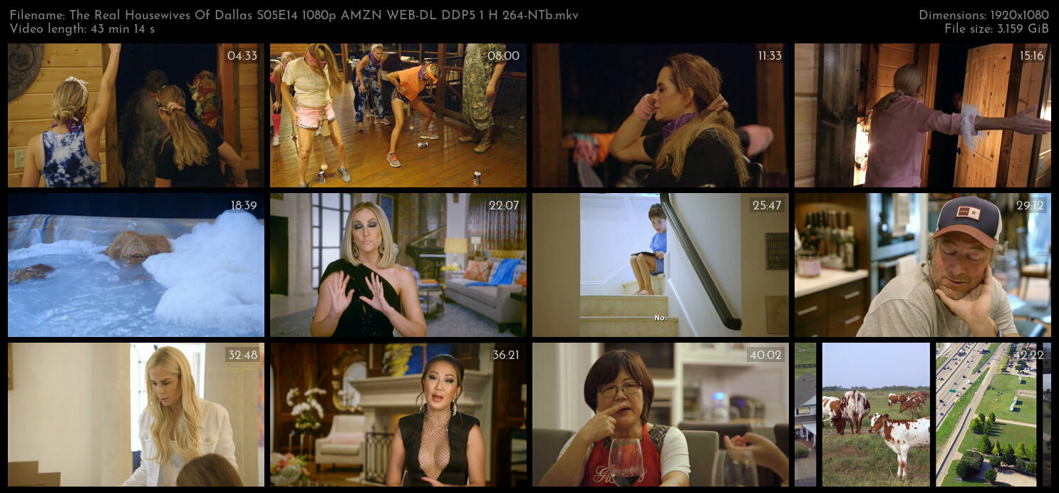 The Real Housewives Of Dallas S05E14 1080p AMZN WEB DL DDP5 1 H 264 NTb TGx