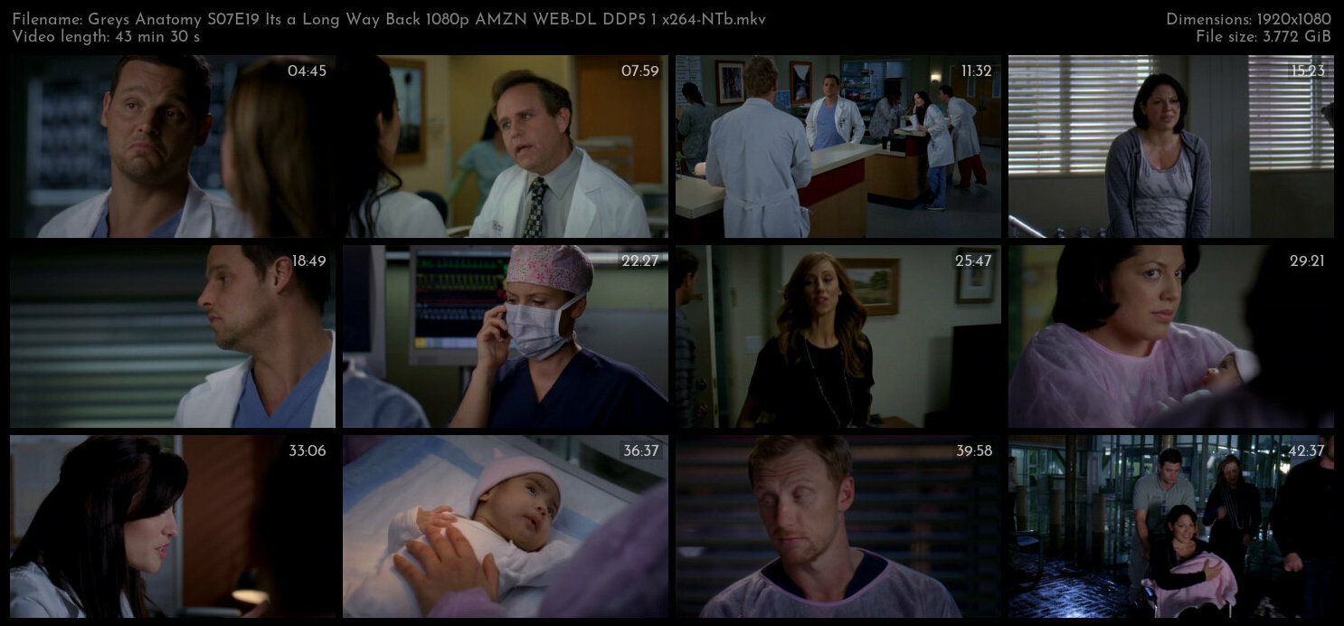 Greys Anatomy S07E19 Its a Long Way Back 1080p AMZN WEB DL DDP5 1 x264 NTb TGx
