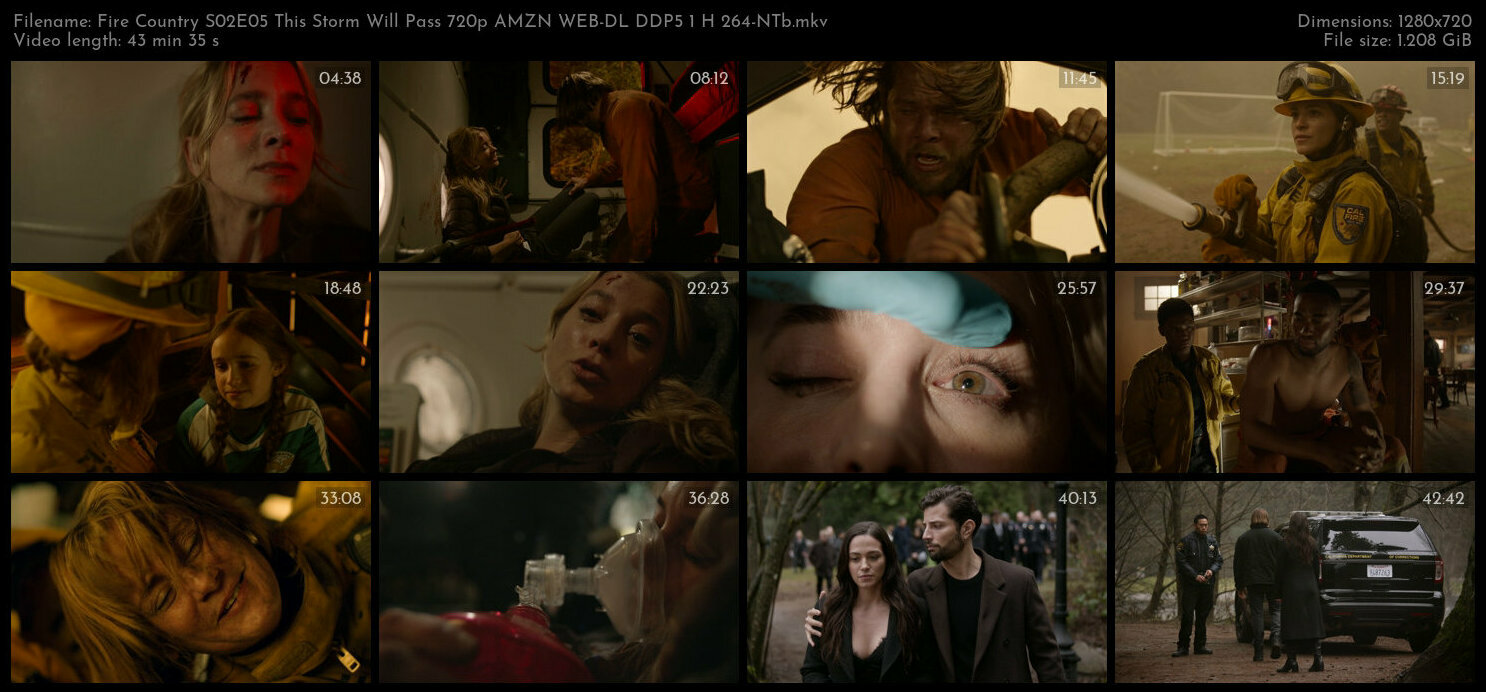 Fire Country S02E05 This Storm Will Pass 720p AMZN WEB DL DDP5 1 H 264 NTb TGx
