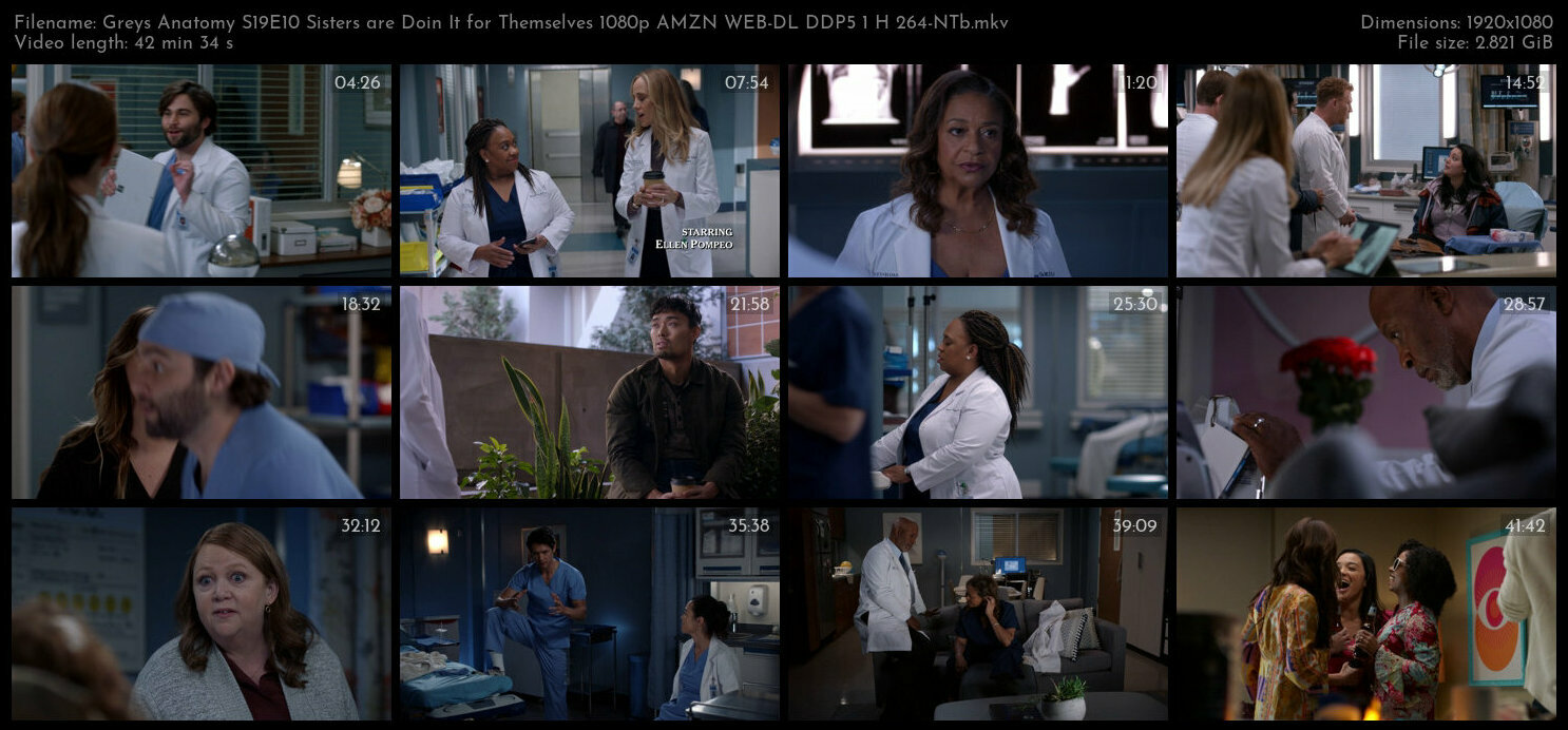Greys Anatomy S19E10 Sisters are Doin It for Themselves 1080p AMZN WEB DL DDP5 1 H 264 NTb TGx