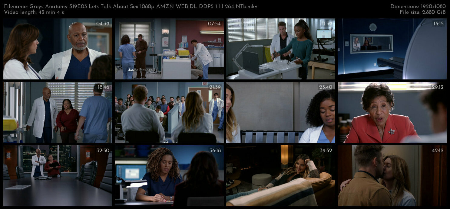 Greys Anatomy S19E03 Lets Talk About Sex 1080p AMZN WEB DL DDP5 1 H 264 NTb TGx