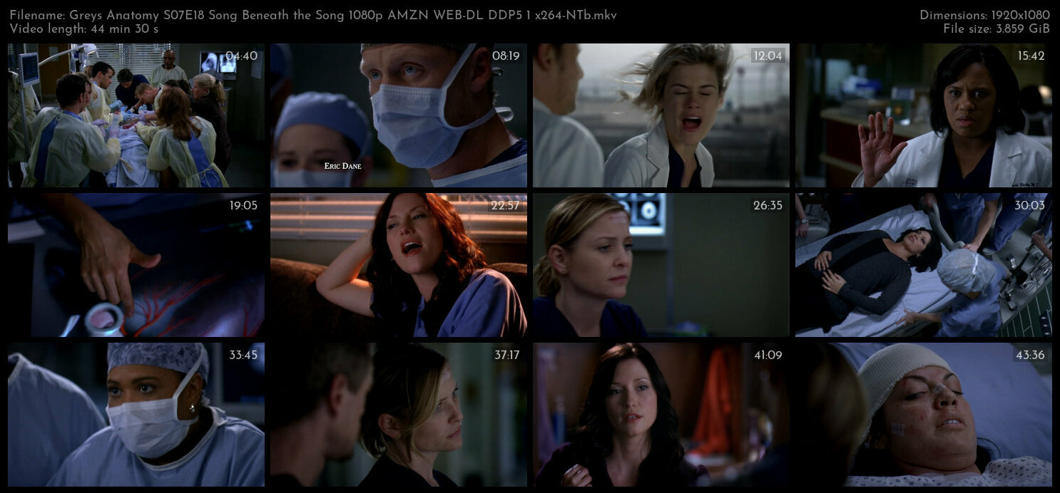 Greys Anatomy S07E18 Song Beneath the Song 1080p AMZN WEB DL DDP5 1 x264 NTb TGx