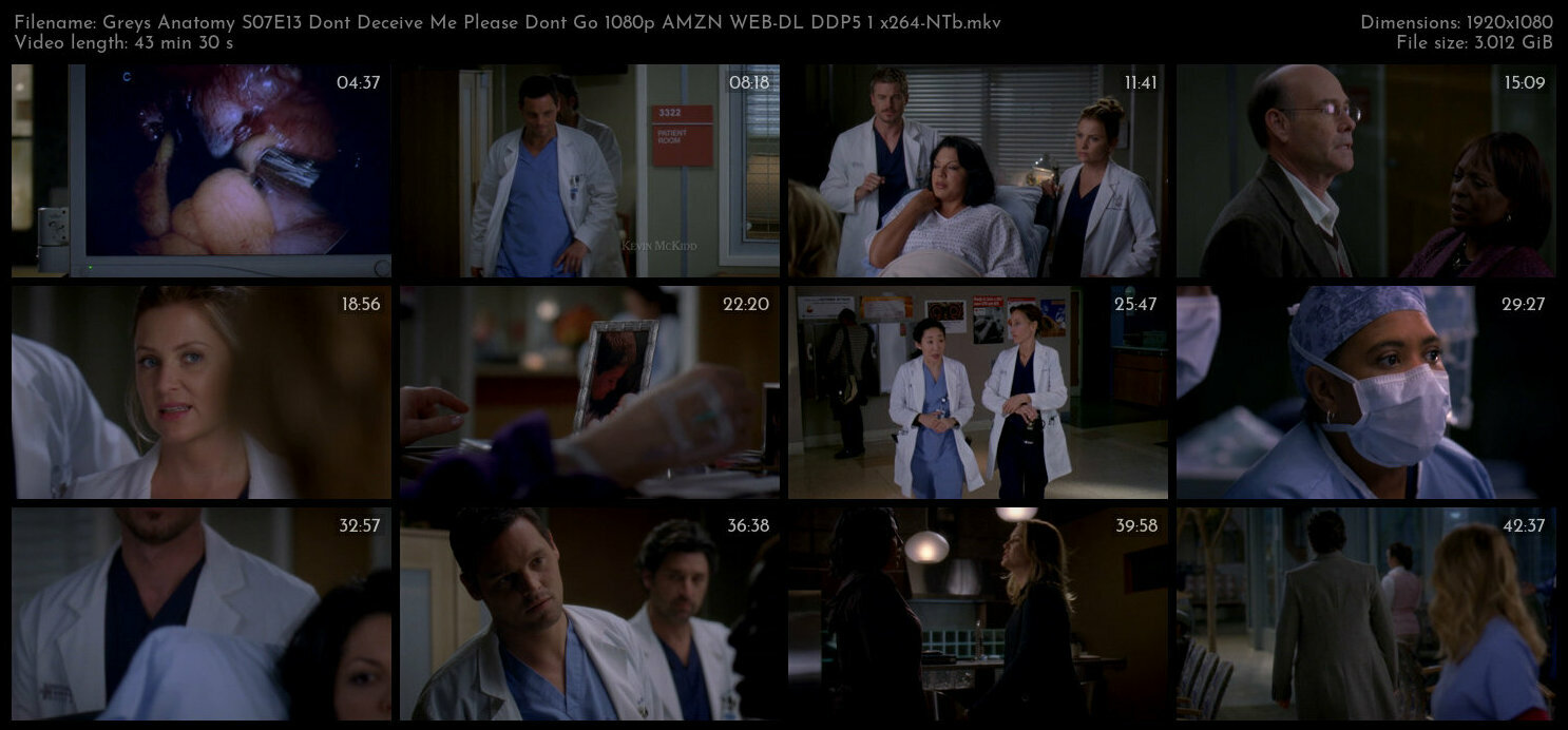 Greys Anatomy S07E13 Dont Deceive Me Please Dont Go 1080p AMZN WEB DL DDP5 1 x264 NTb TGx