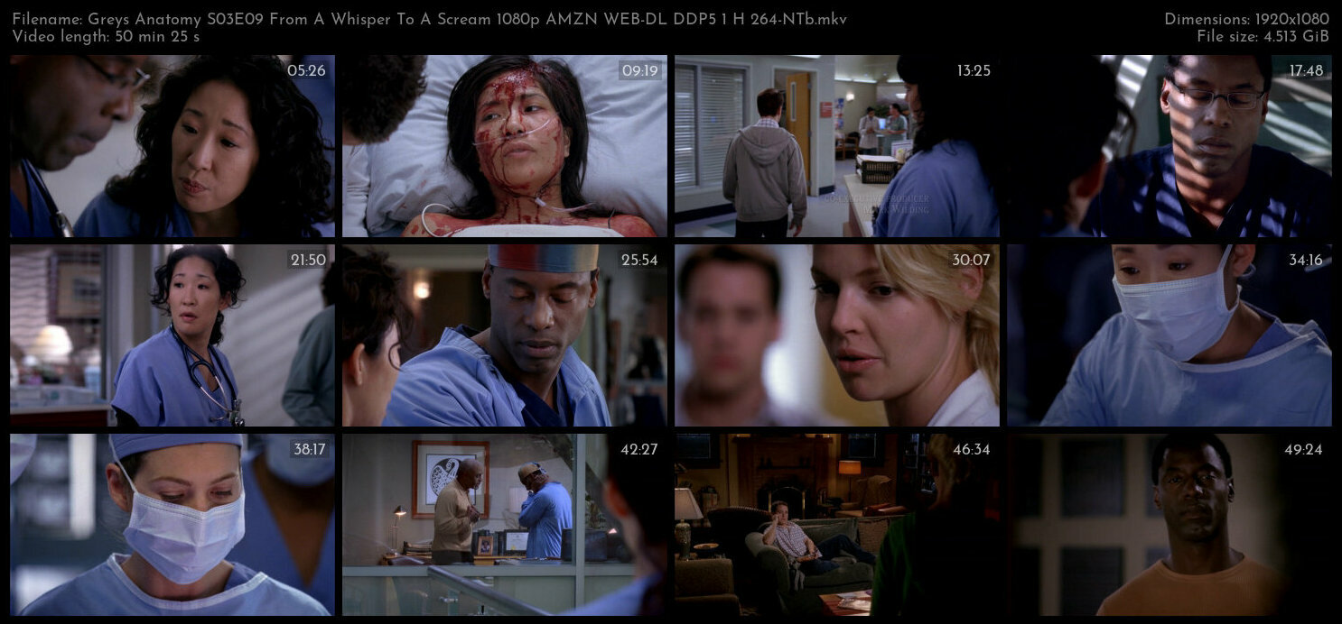 Greys Anatomy S03E09 From A Whisper To A Scream 1080p AMZN WEB DL DDP5 1 H 264 NTb TGx