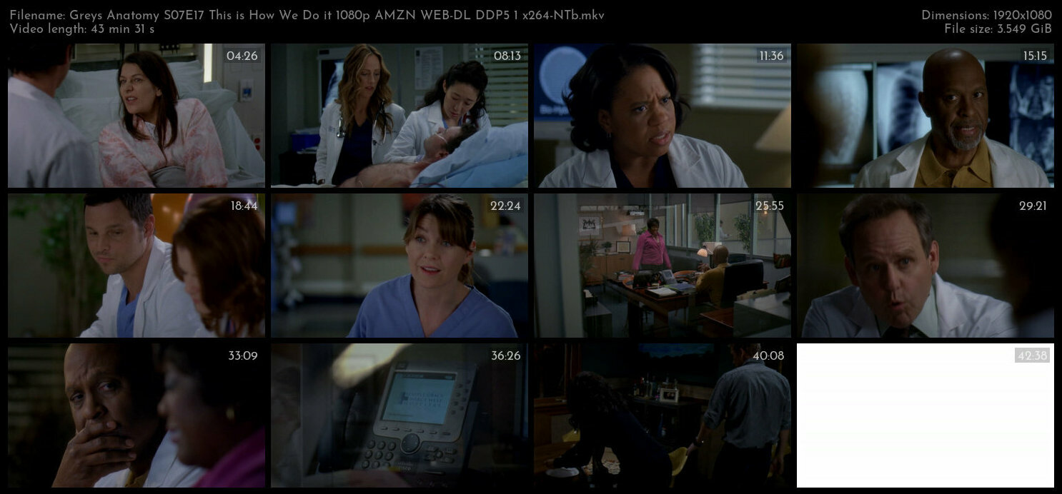 Greys Anatomy S07E17 This is How We Do it 1080p AMZN WEB DL DDP5 1 x264 NTb TGx