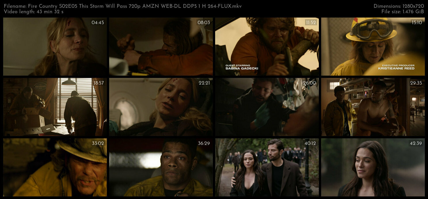 Fire Country S02E05 This Storm Will Pass 720p AMZN WEB DL DDP5 1 H 264 FLUX TGx