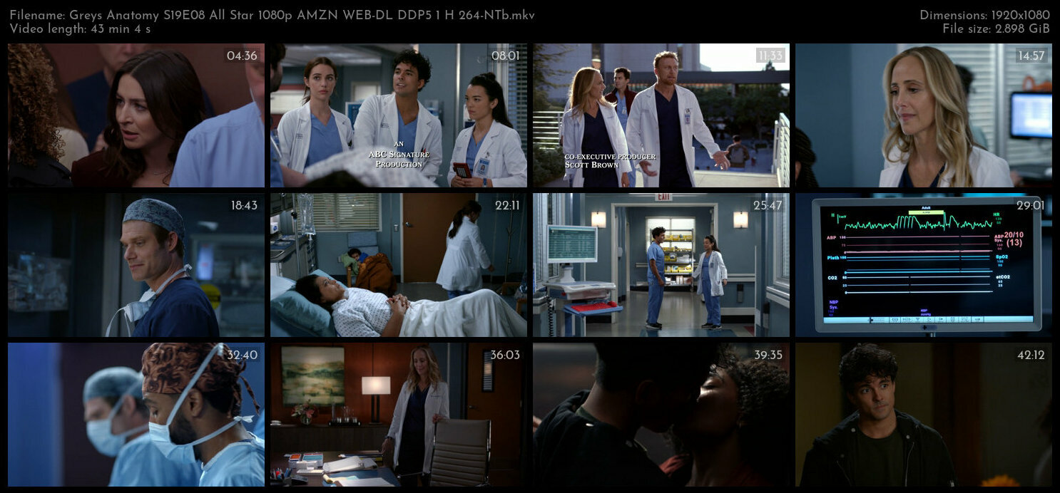 Greys Anatomy S19E08 All Star 1080p AMZN WEB DL DDP5 1 H 264 NTb TGx