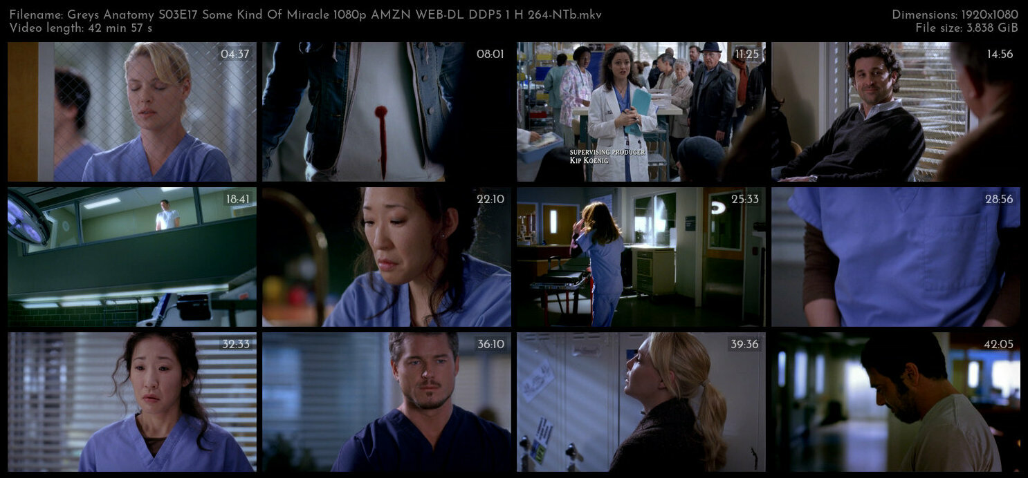 Greys Anatomy S03E17 Some Kind Of Miracle 1080p AMZN WEB DL DDP5 1 H 264 NTb TGx