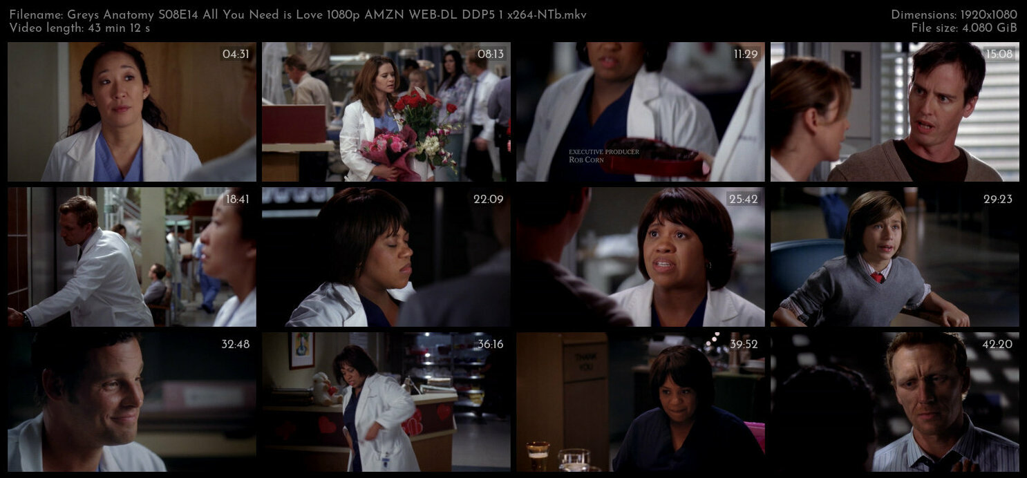 Greys Anatomy S08E14 All You Need is Love 1080p AMZN WEB DL DDP5 1 x264 NTb TGx