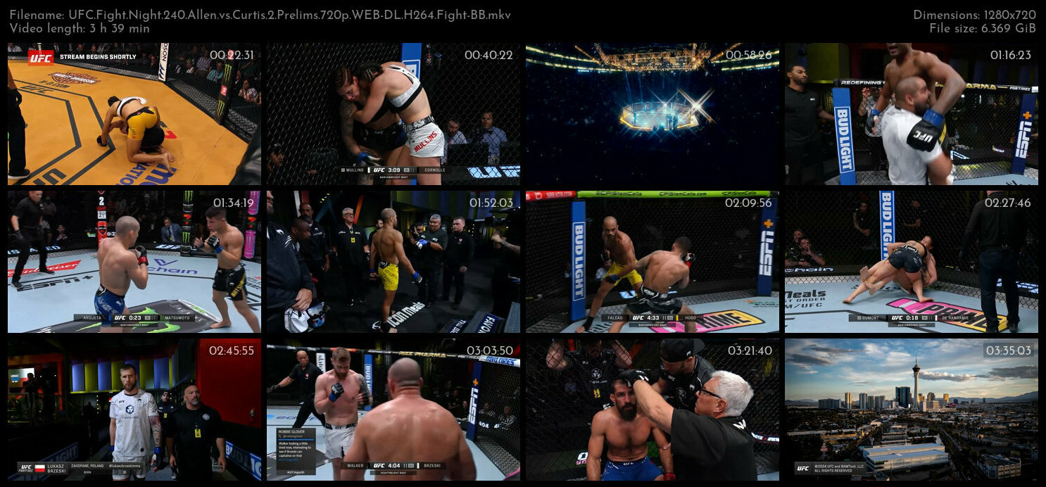 UFC Fight Night 240 Allen vs Curtis 2 Prelims 720p WEB DL H264 Fight BB