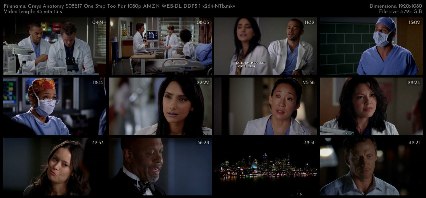 Greys Anatomy S08E17 One Step Too Far 1080p AMZN WEB DL DDP5 1 x264 NTb TGx