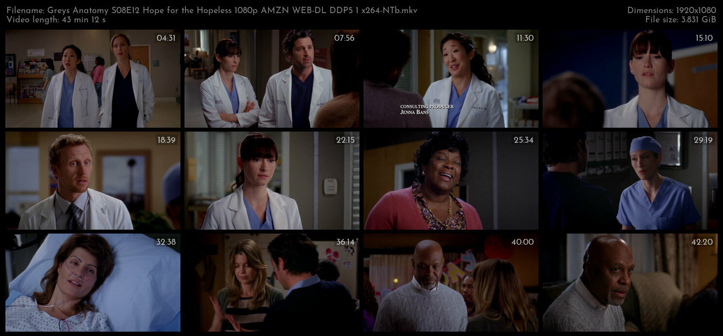 Greys Anatomy S08E12 Hope for the Hopeless 1080p AMZN WEB DL DDP5 1 x264 NTb TGx