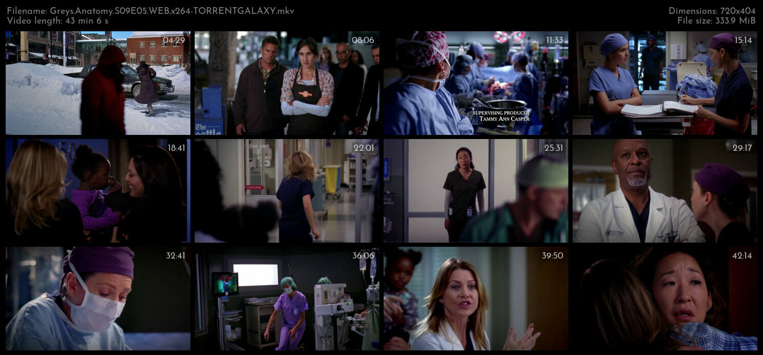 Greys Anatomy S09E05 WEB x264 TORRENTGALAXY