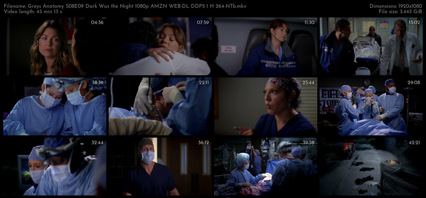 Greys Anatomy S08E09 Dark Was the Night 1080p AMZN WEB DL DDP5 1 H 264 NTb TGx