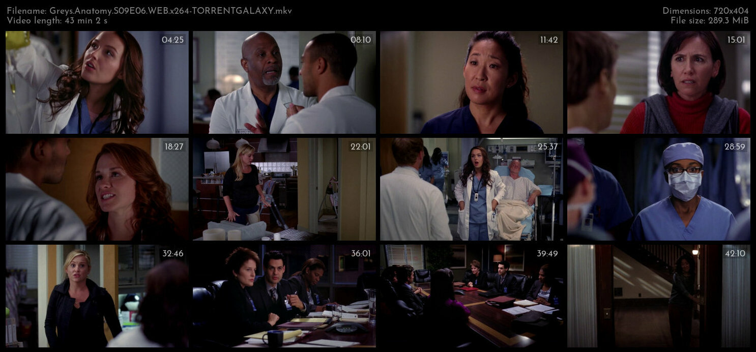 Greys Anatomy S09E06 WEB x264 TORRENTGALAXY