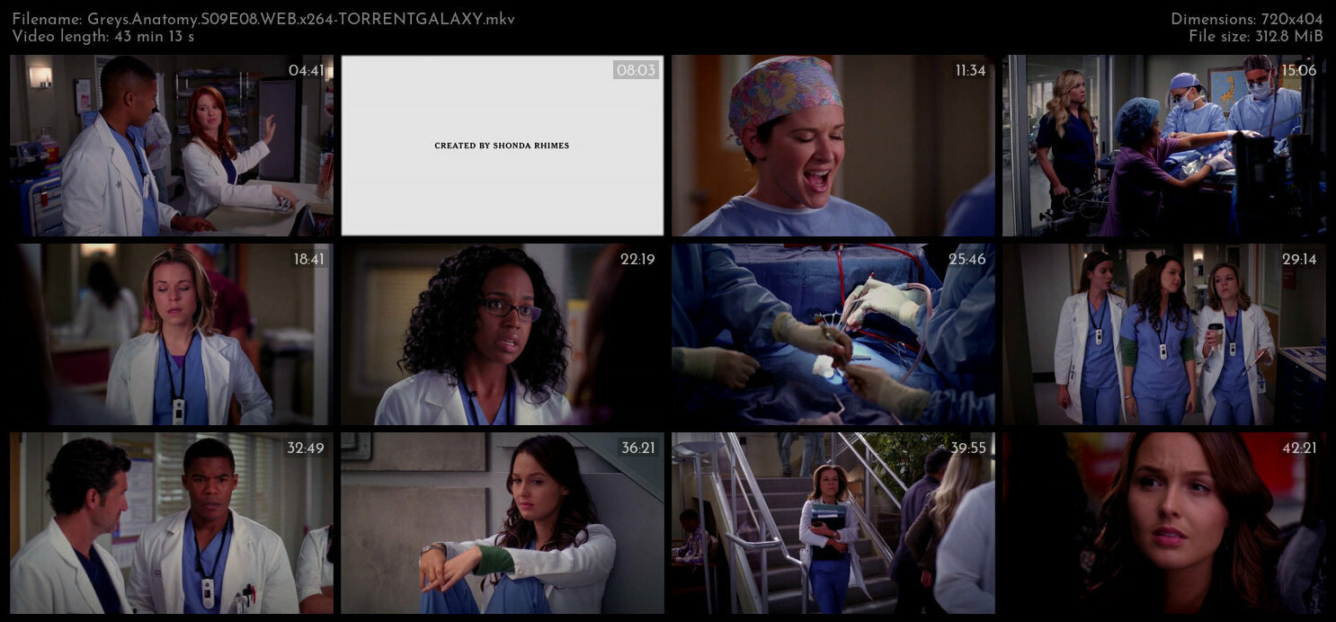 Greys Anatomy S09E08 WEB x264 TORRENTGALAXY