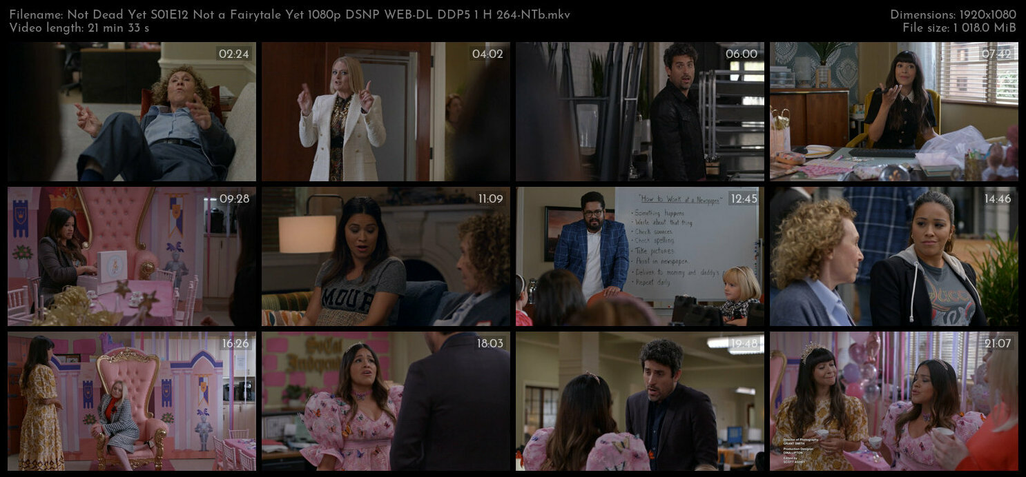 Not Dead Yet S01E12 Not a Fairytale Yet 1080p DSNP WEB DL DDP5 1 H 264 NTb TGx