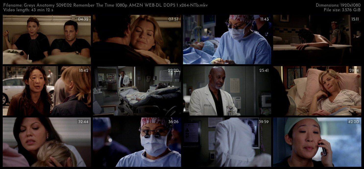 Greys Anatomy S09E02 Remember The Time 1080p AMZN WEB DL DDP5 1 x264 NTb TGx