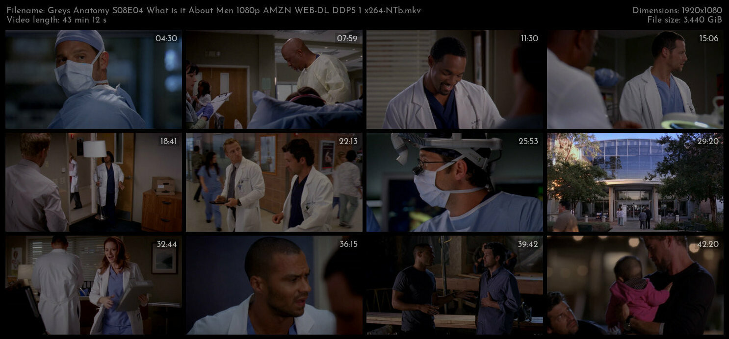 Greys Anatomy S08E04 What is it About Men 1080p AMZN WEB DL DDP5 1 x264 NTb TGx