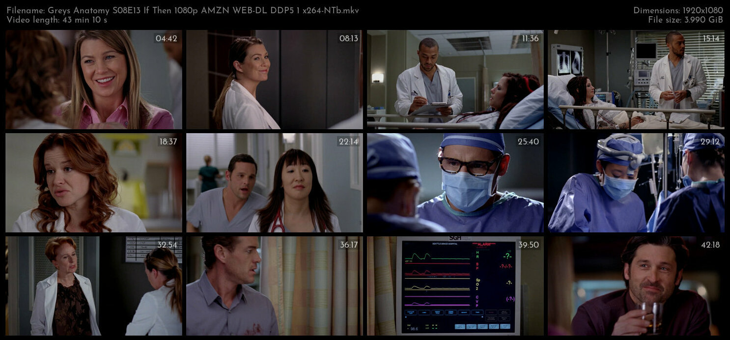 Greys Anatomy S08E13 If Then 1080p AMZN WEB DL DDP5 1 x264 NTb TGx