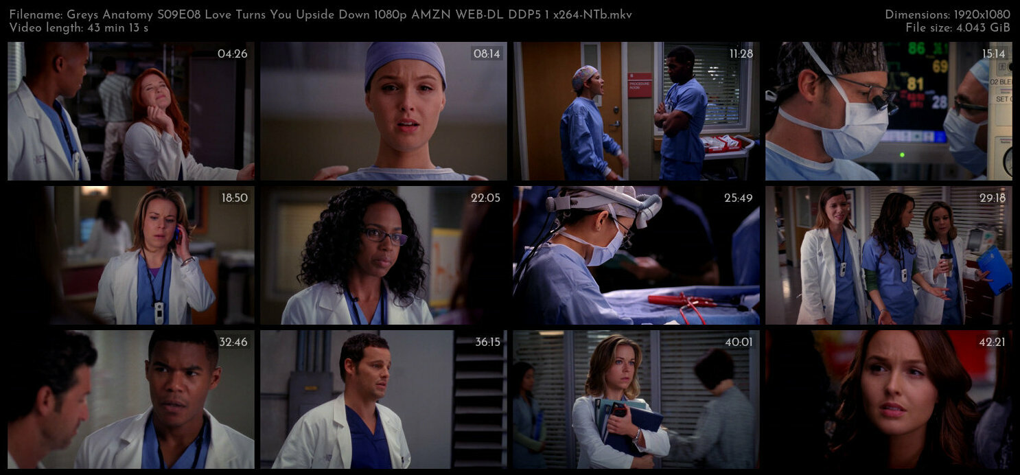 Greys Anatomy S09E08 Love Turns You Upside Down 1080p AMZN WEB DL DDP5 1 x264 NTb TGx