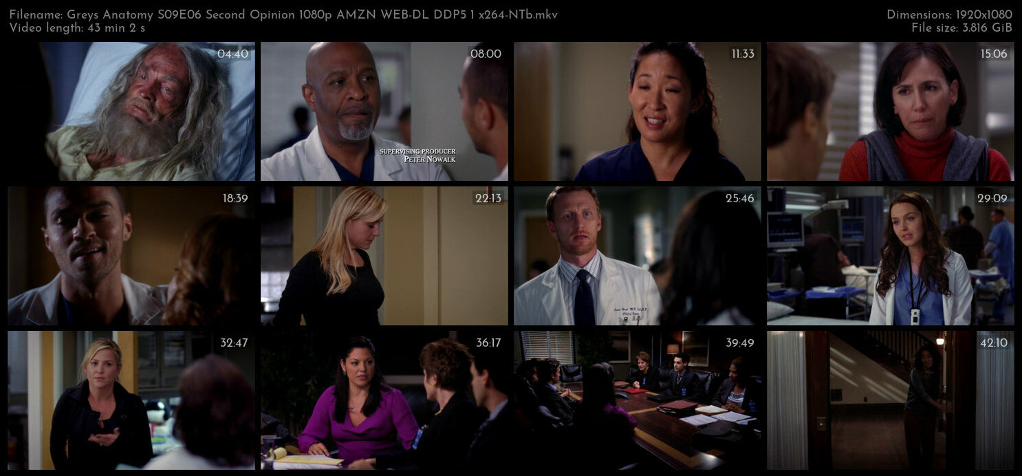 Greys Anatomy S09E06 Second Opinion 1080p AMZN WEB DL DDP5 1 x264 NTb TGx