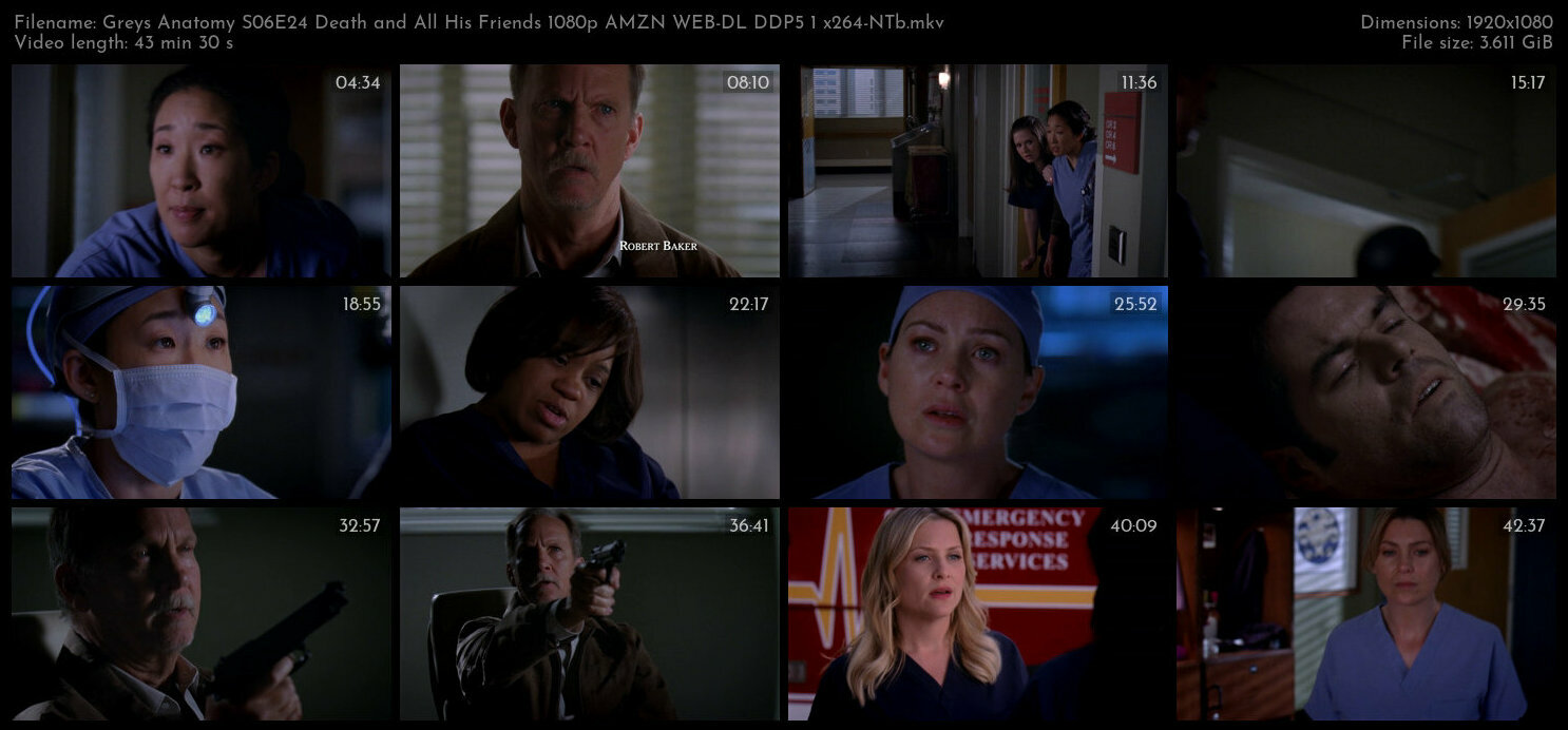 Greys Anatomy S06E24 Death and All His Friends 1080p AMZN WEB DL DDP5 1 x264 NTb TGx
