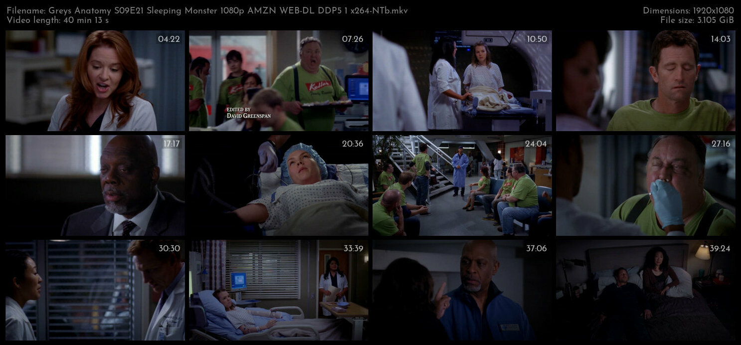 Greys Anatomy S09E21 Sleeping Monster 1080p AMZN WEB DL DDP5 1 x264 NTb TGx