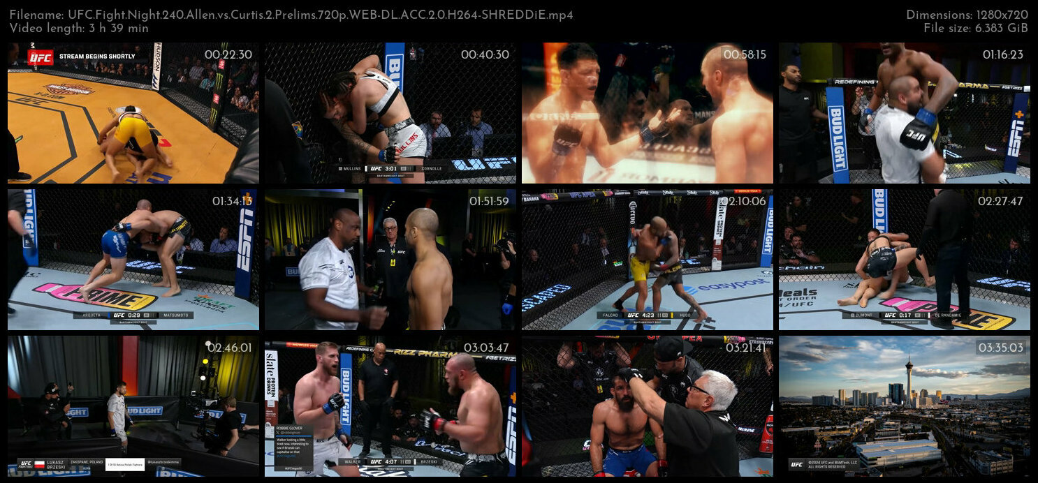UFC Fight Night 240 Allen vs Curtis 2 Prelims 720p WEB DL ACC 2 0 H264 SHREDDiE TGx