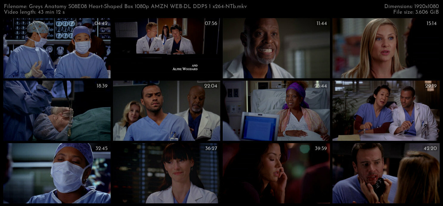 Greys Anatomy S08E08 Heart Shaped Box 1080p AMZN WEB DL DDP5 1 x264 NTb TGx