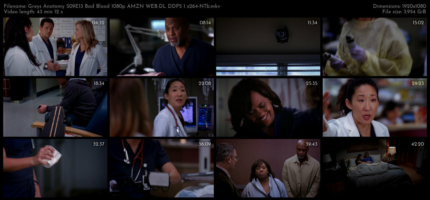 Greys Anatomy S09E13 Bad Blood 1080p AMZN WEB DL DDP5 1 x264 NTb TGx