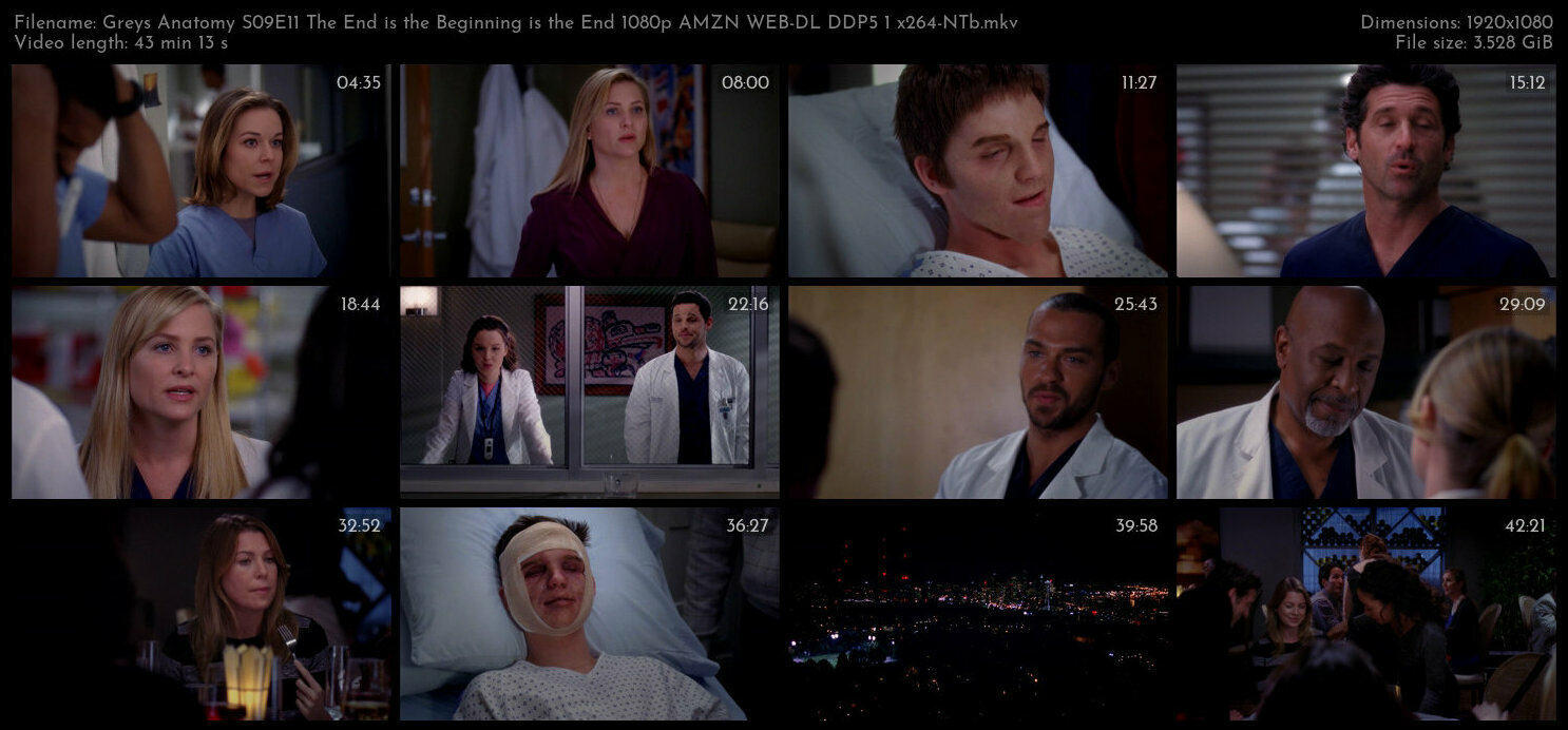 Greys Anatomy S09E11 The End is the Beginning is the End 1080p AMZN WEB DL DDP5 1 x264 NTb TGx