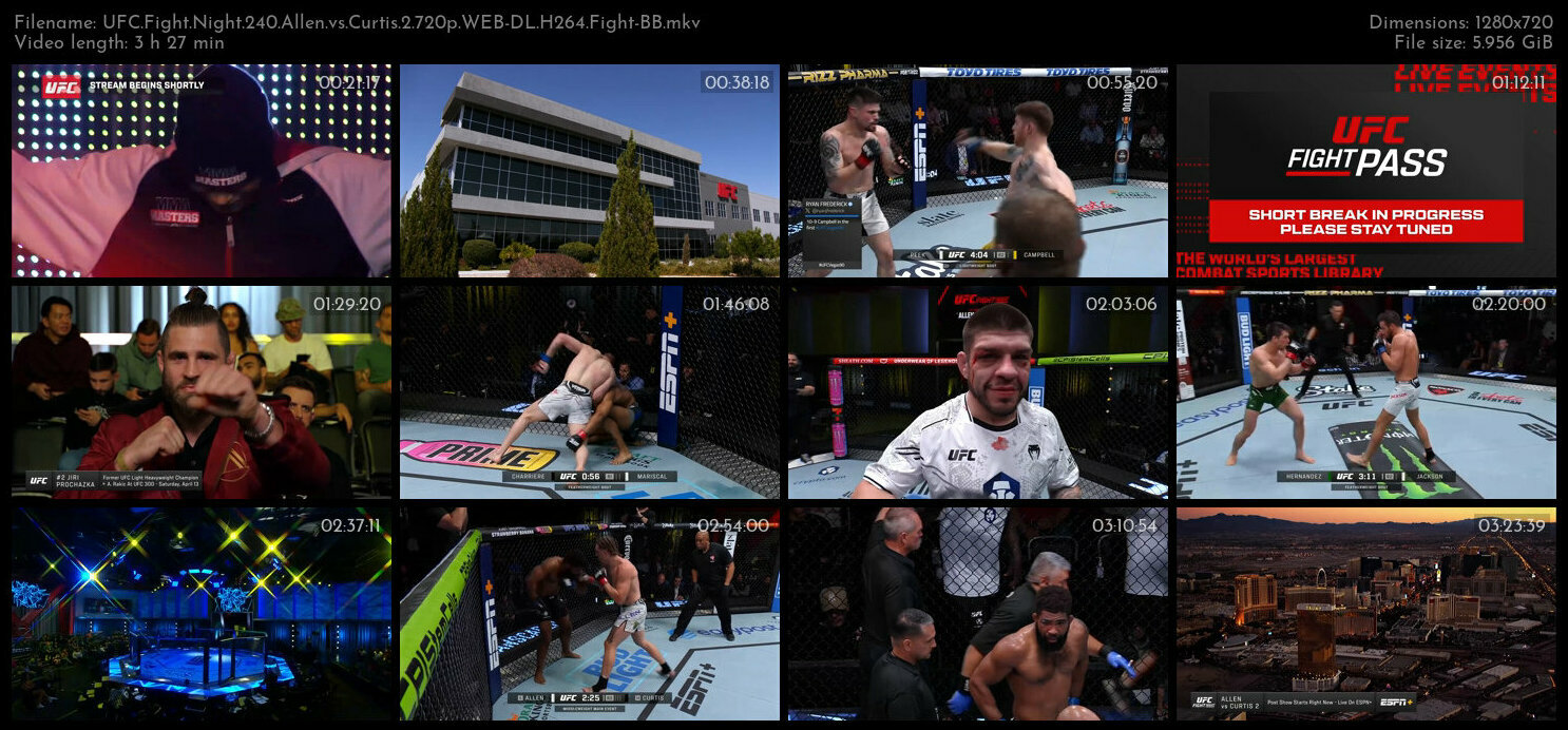 UFC Fight Night 240 Allen vs Curtis 2 720p WEB DL H264 Fight BB
