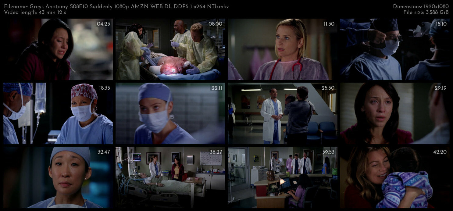 Greys Anatomy S08E10 Suddenly 1080p AMZN WEB DL DDP5 1 x264 NTb TGx