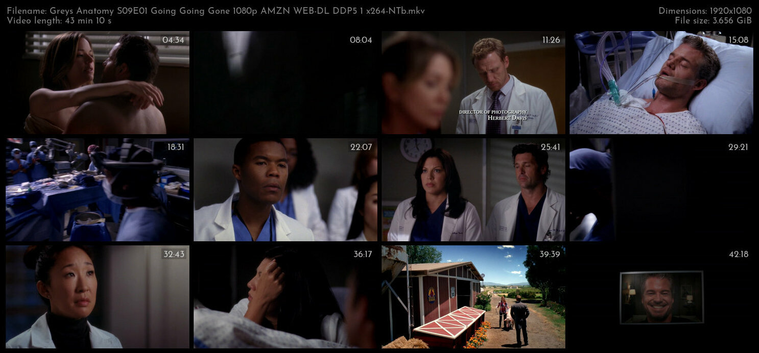 Greys Anatomy S09E01 Going Going Gone 1080p AMZN WEB DL DDP5 1 x264 NTb TGx