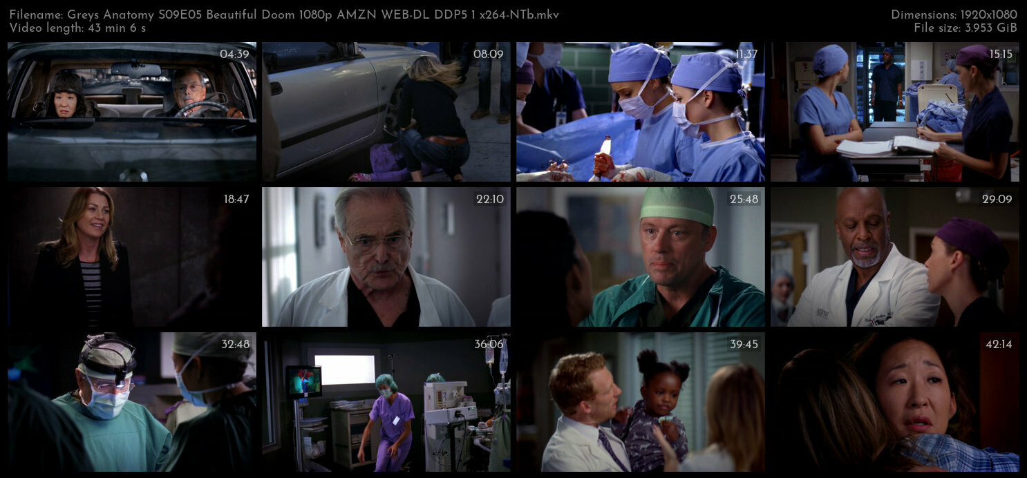 Greys Anatomy S09E05 Beautiful Doom 1080p AMZN WEB DL DDP5 1 x264 NTb TGx