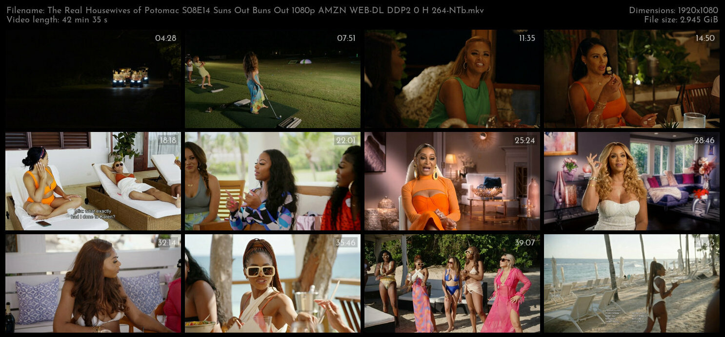 The Real Housewives of Potomac S08E14 Suns Out Buns Out 1080p AMZN WEB DL DDP2 0 H 264 NTb TGx