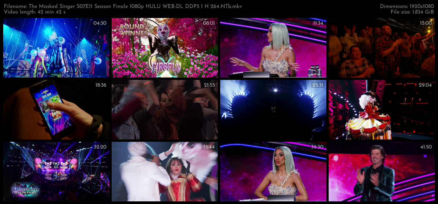 The Masked Singer S07E11 Season Finale 1080p HULU WEB DL DDP5 1 H 264 NTb TGx