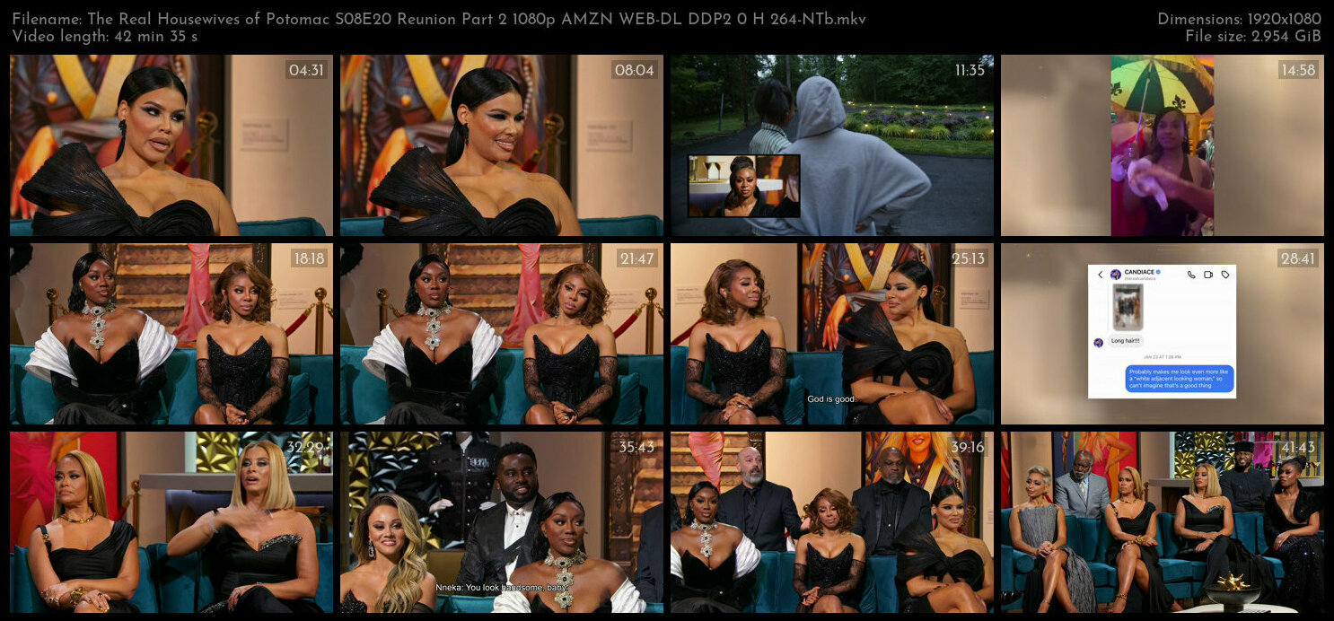 The Real Housewives of Potomac S08E20 Reunion Part 2 1080p AMZN WEB DL DDP2 0 H 264 NTb TGx