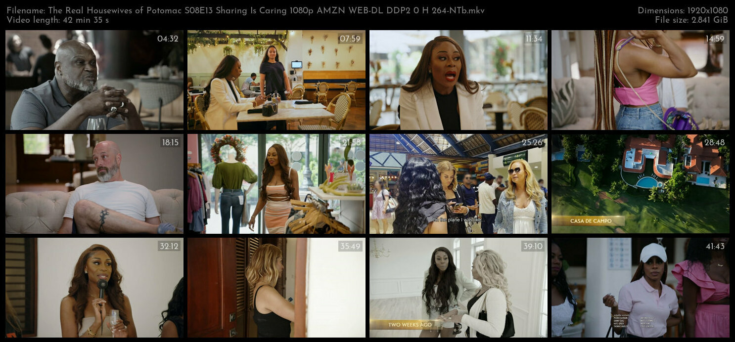 The Real Housewives of Potomac S08E13 Sharing Is Caring 1080p AMZN WEB DL DDP2 0 H 264 NTb TGx