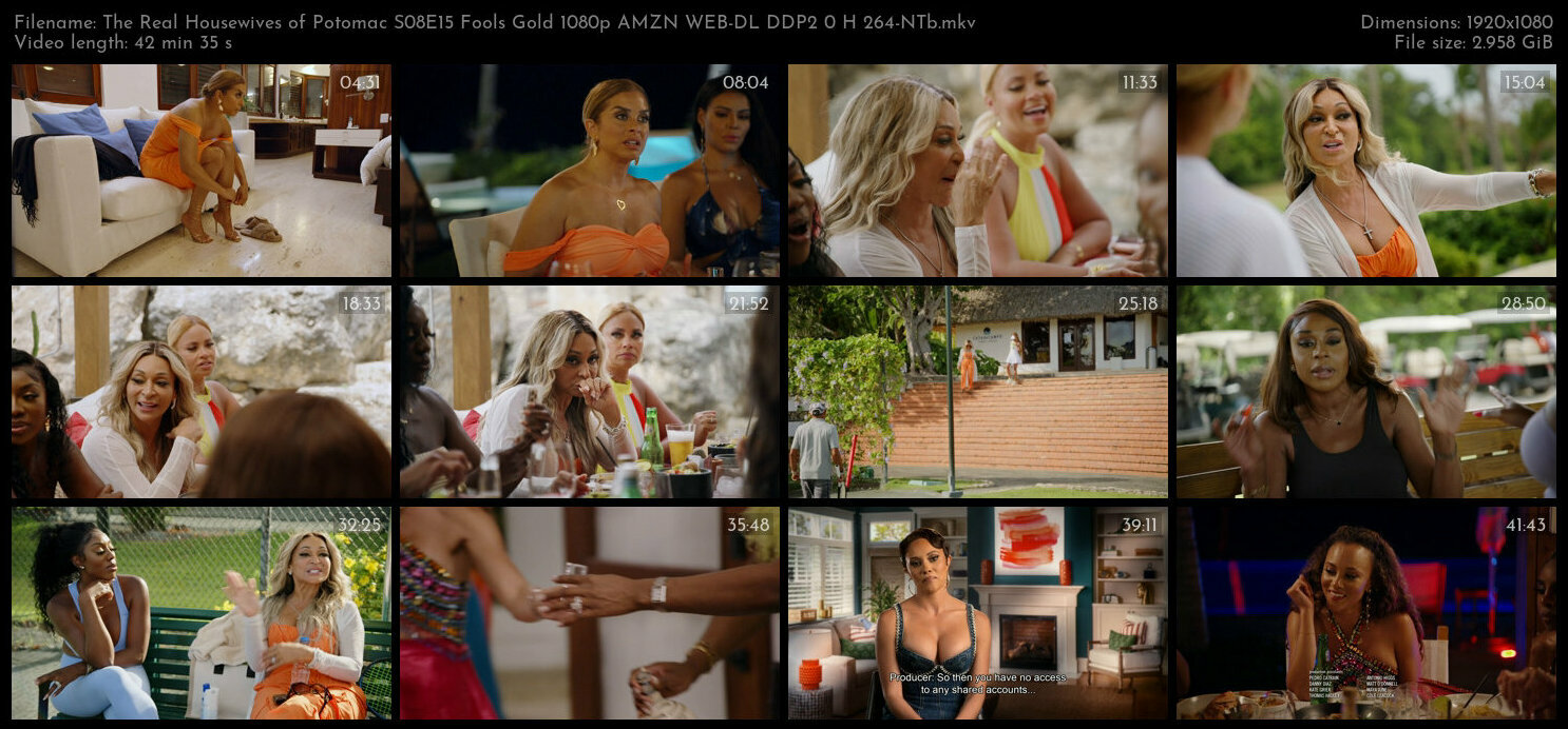 The Real Housewives of Potomac S08E15 Fools Gold 1080p AMZN WEB DL DDP2 0 H 264 NTb TGx