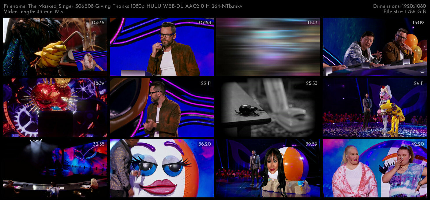 The Masked Singer S06E08 Giving Thanks 1080p HULU WEB DL AAC2 0 H 264 NTb TGx