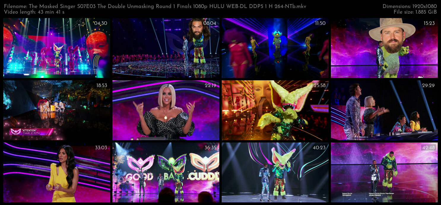 The Masked Singer S07E03 The Double Unmasking Round 1 Finals 1080p HULU WEB DL DDP5 1 H 264 NTb TGx